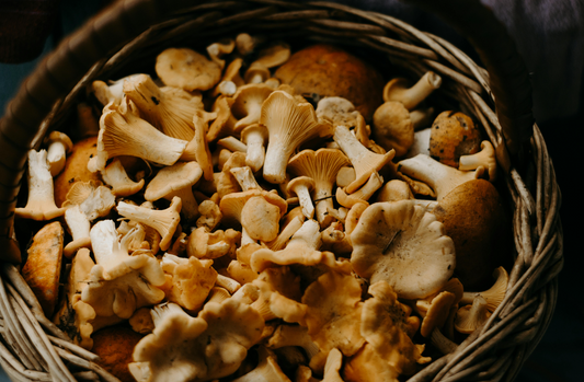Yes, We Add Mushrooms. No, You Won't Trip Out.